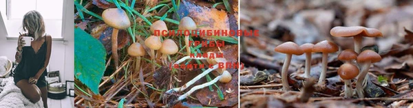 МДПВ Осташков