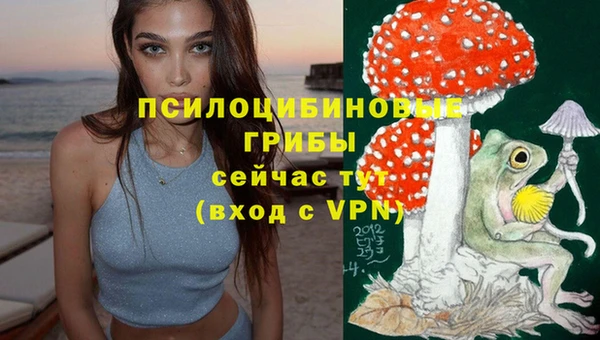 МДПВ Осташков
