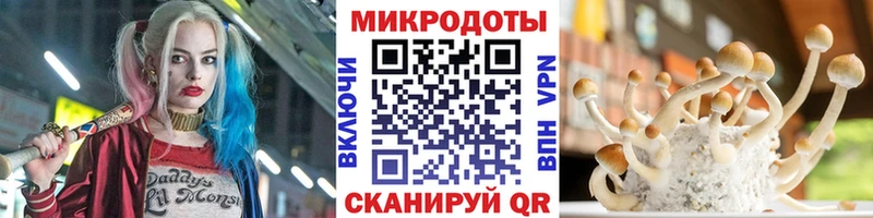 Псилоцибиновые грибы Cubensis  Купить  Заволжье 